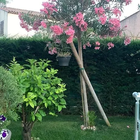 Elimia Piscine Privée&chauffée *