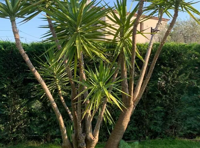 Elimia Piscine Privee & Chauffee Rum i privatbostad Antibes