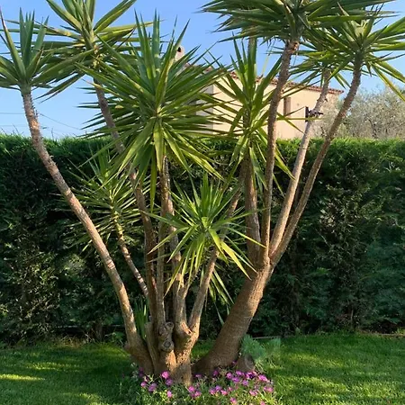 Elimia Piscine Privee & Chauffee Homestay Antibes